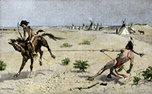 Plains Indian method of breaking a horse