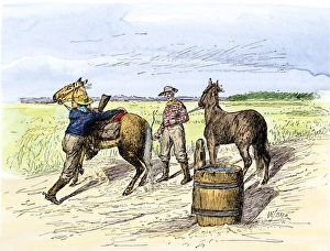 Wyoming Prints: Pony Express rider changing horses at a relay station