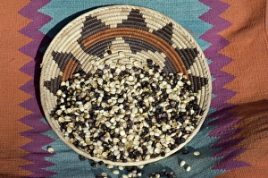 Posole - Pueblo Indian dried corn - in a Native American basket