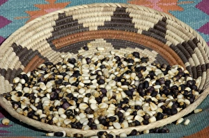Food Prints: Posole - Pueblo Indian dried corn - in a Native American basket