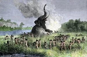 Pre History Gallery: Prehistoric hunters surrounding a wooly mammoth