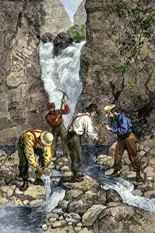 Prospectors finding gold in a stream during the California Gold Rush