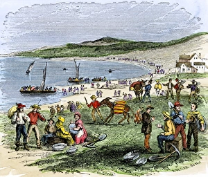 Donkey Gallery: Prospectors landing in San Francisco during the Gold Rush