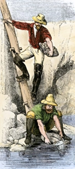 Prospector Prints: Prospectors panning for gold during the California Gold Rush