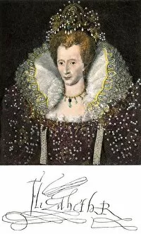 Elizabethan Collar Collection: PROY2A-00020