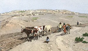 Western Prints: Pueblo farmer plowing the soil near Laguna Pueblo