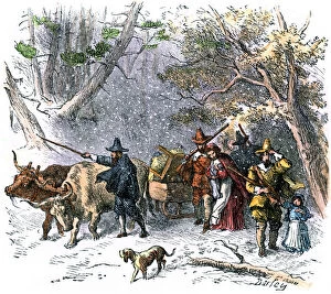 Oxen Gallery: Puritan families migrating to Connecticut, 1635