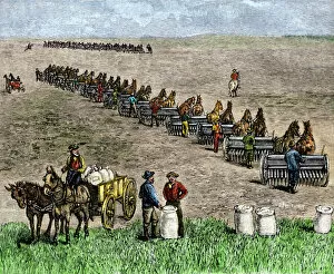 Great Plains Gallery: Putting in seed on a bonanza farm, 1800s
