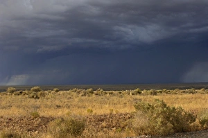 Rainstorm on the high plains, New Mexico