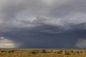 Cloud Gallery: Rainstorm on the high plains, New Mexico