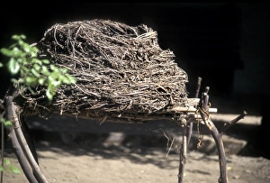Food Prints: Reconttructed Native American basket for storing acorn harvest