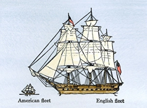 Relative size of the American