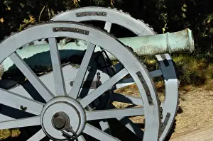 Battle Of Yorktown Prints: Revolutionary War French cannon called the Fox at Yorktown