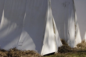 National Park Prints: Revolutionary War reenactors tents at Yorktown battlefield