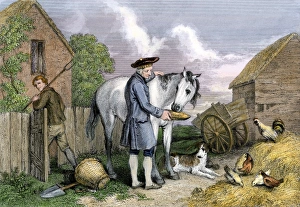 Scot Land Gallery: Robert Burnss literary mare, Maggie