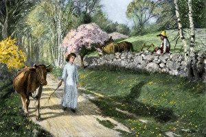 Teenage Gallery: Rural romance