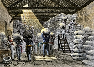 Manual Prints: Sacks of coffee carried into a warehouse in Brazil