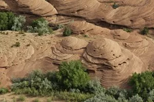 Arid Gallery: Sandstone shapes in Canyon de Chelly, Arizona