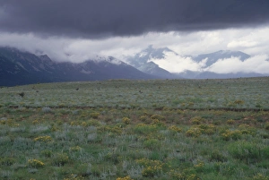 Sangre De Cristo Mountains Gallery: Santa Fe Trail wagon tracks in New Mexico
