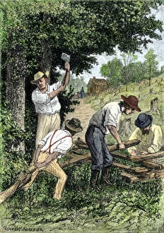 Forest Prints: Settlers building fences around a homestead on the frontier