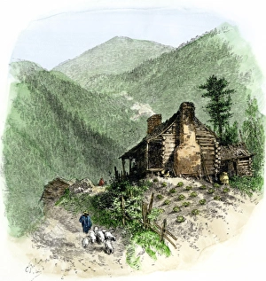 Kentucky Prints: Sheep brought home to a settlers log cabin in the Blue Ridge Mountains