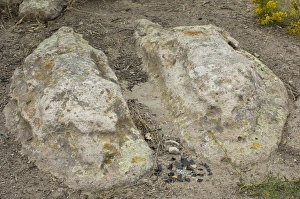 Pre Columbian Prints: Shrine of the Stone Lions