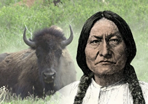 Bison Prints: Sioux leader Sitting Bull