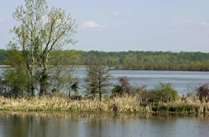 Arkansas Gallery: Site of Arkansas Post on the Arkansas River