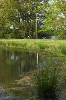 Land Claim Gallery: Site of Henri de Tontis French settlement, 1686