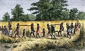 Africa history Collection: Slave caravan in Africa