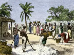 African American Prints: Slaves bringing in the cotton harvest