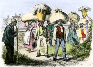 African American Prints: Slaves bringing in loads of cotton after a days picking