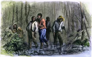African American Collection: Slaves escaping to freedom in the north
