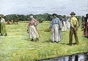 Field Hand Collection: Slaves planting rice in North Carolina, 1800s