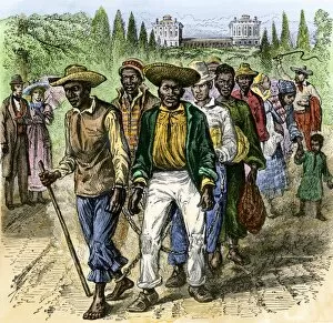 Slave Gallery: Slaves in Washington DC, early 1800s