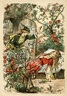 Fictional Character Collection: Sleeping Beauty