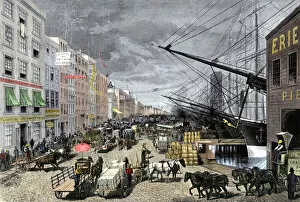 Horse Gallery: South Street docks in New York City, 1870s