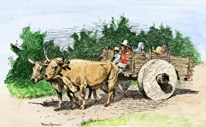 Oxen Collection: Spanish familys ox-cart, California, 1800s