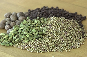 Spice Trade Prints: Spices of historical significance: green cardamom pods
