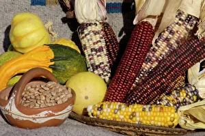 Food Prints: Squash, beans, and corn - the three sisters of Native American agriculture