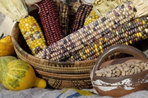 Squash, corn, and beans, - the three sisters of Native American agriculture
