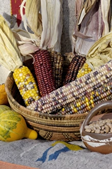 Staple Prints: Squash, corn, and beans, - the three sisters of Native American agriculture