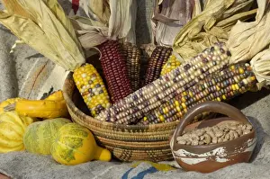 Staple Prints: Squash, corn, and beans - the three sisters of Native American agriculture