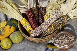 Squash, corn, and beans, - the three sisters of Native American agriculture