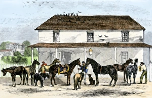 Horses Gallery: Stable behind the White House, 1869