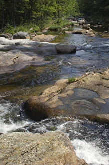 Stream in the White Mountains of New Hampshire and Maine
