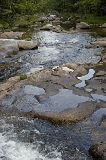 Boulder Gallery: Stream in the White Mountains of New Hampshire and Maine