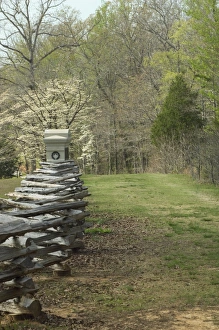 Images Dated 2011: April Collection