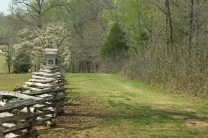Civil War (US) Collection: Sunken Road, Shiloh battlefield