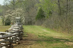 Memorial Gallery: Sunken Road, Shiloh battlefield